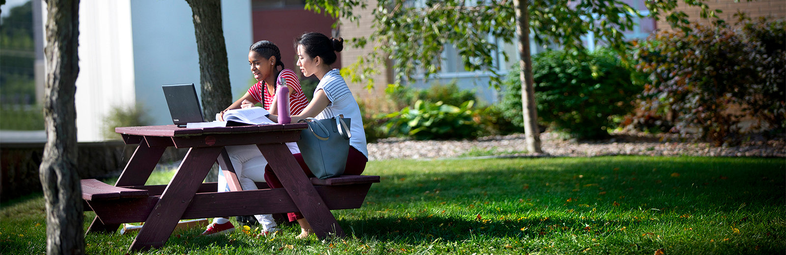 Students sitting at picnic table on campus.