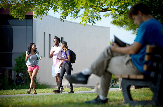 Three students walking and talking outside on campus, one student in foreground sitting on bench reading