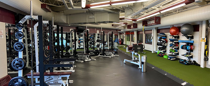 Fitness center including medicine balls, free weights, and foam rollers